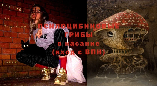 ПСИЛОЦИБИНОВЫЕ ГРИБЫ Вяземский