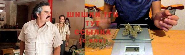 ПСИЛОЦИБИНОВЫЕ ГРИБЫ Вяземский