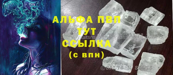 прущие грибы Вязники