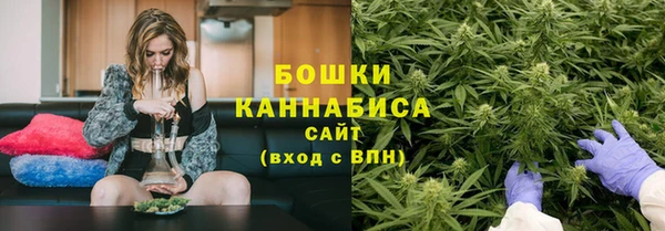 прущие грибы Вязники